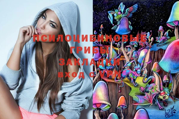 гидропоника Алексеевка