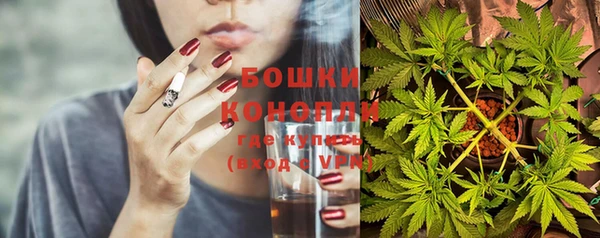 гашик Аркадак