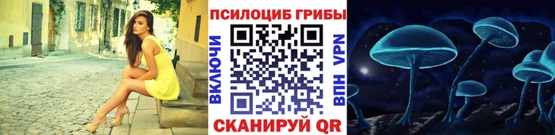 Купить где  Ахтубинск  Псилоцибиновые грибы ЛСД 